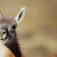 10295307_10152376580907241_650440350613439131_o